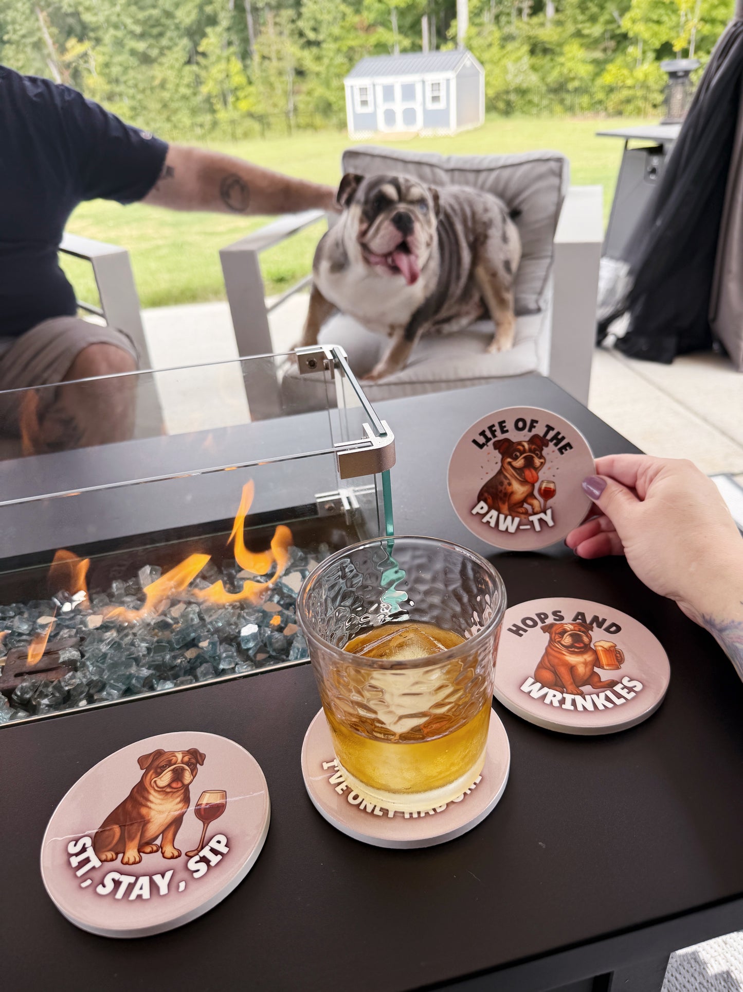 Bulldog Party Coaster Set – 4 Piece