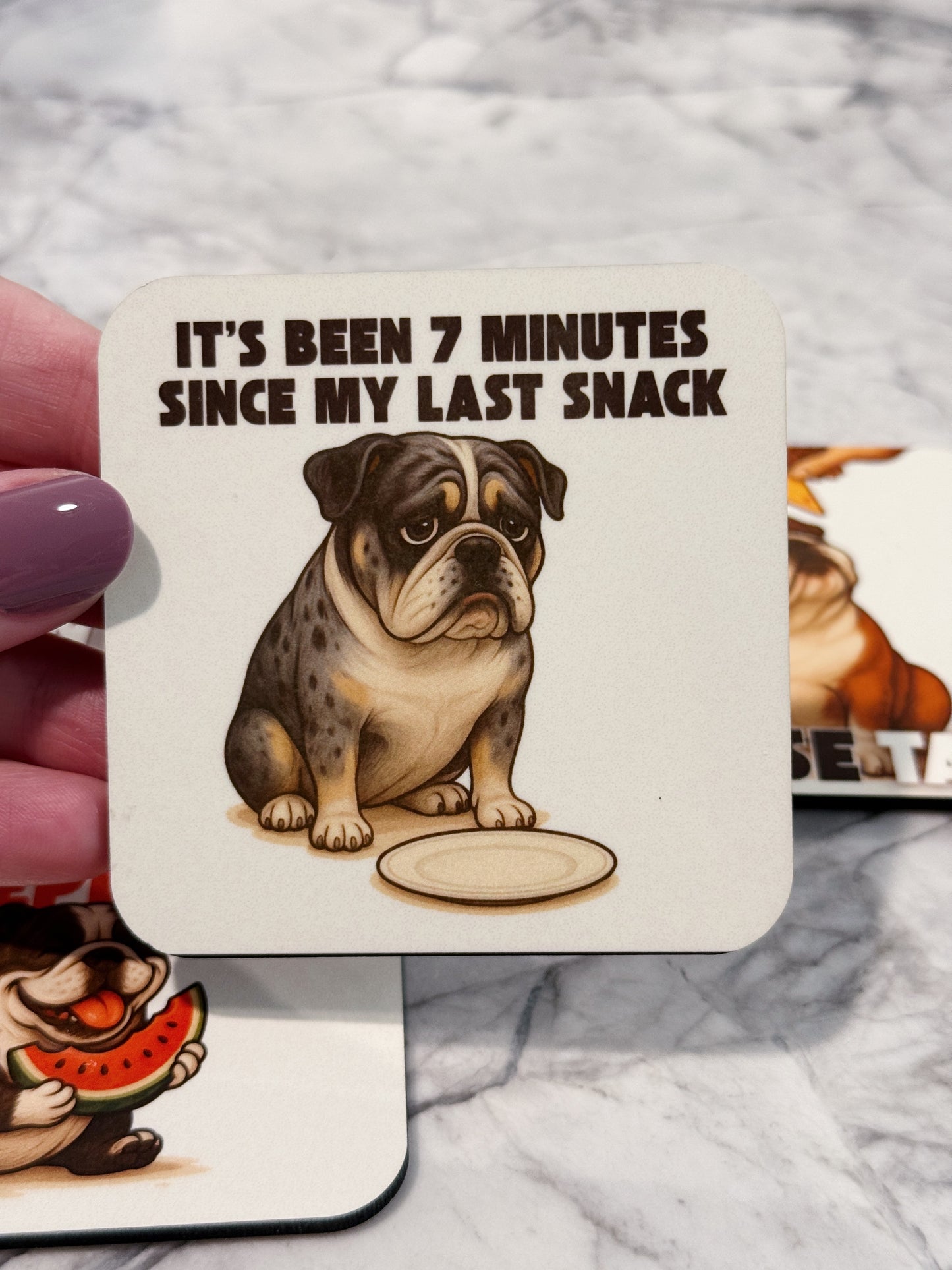 Bulldog Snack Magnet Set – 4 Piece Set