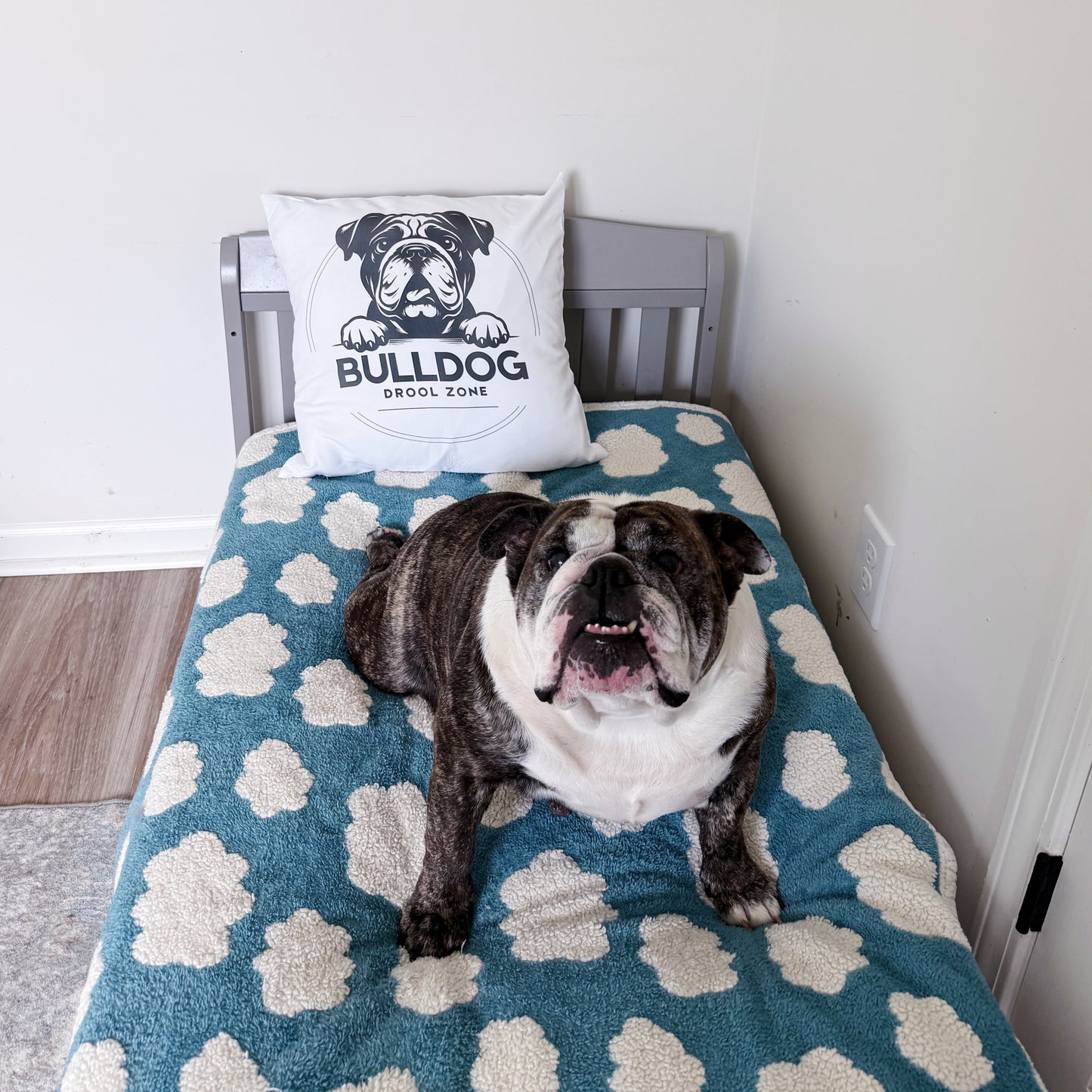 Bulldog Drool Zone Pillow Cover