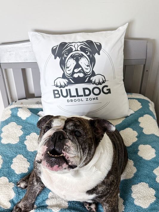 Bulldog Drool Zone Pillow Cover