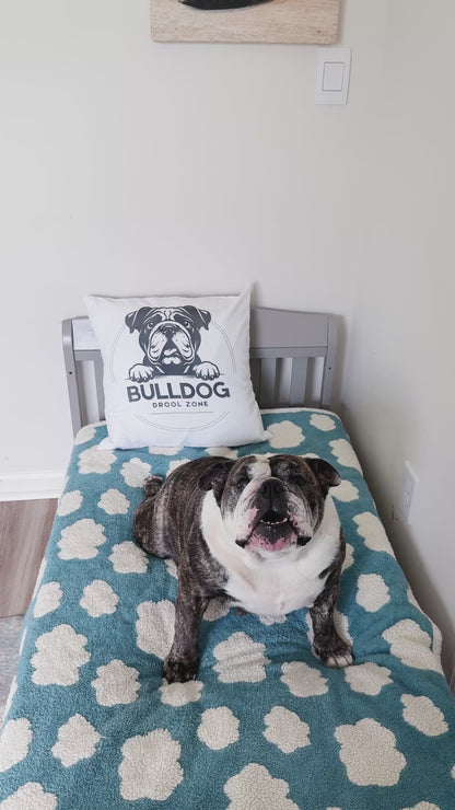 Bulldog Drool Zone Pillow Cover